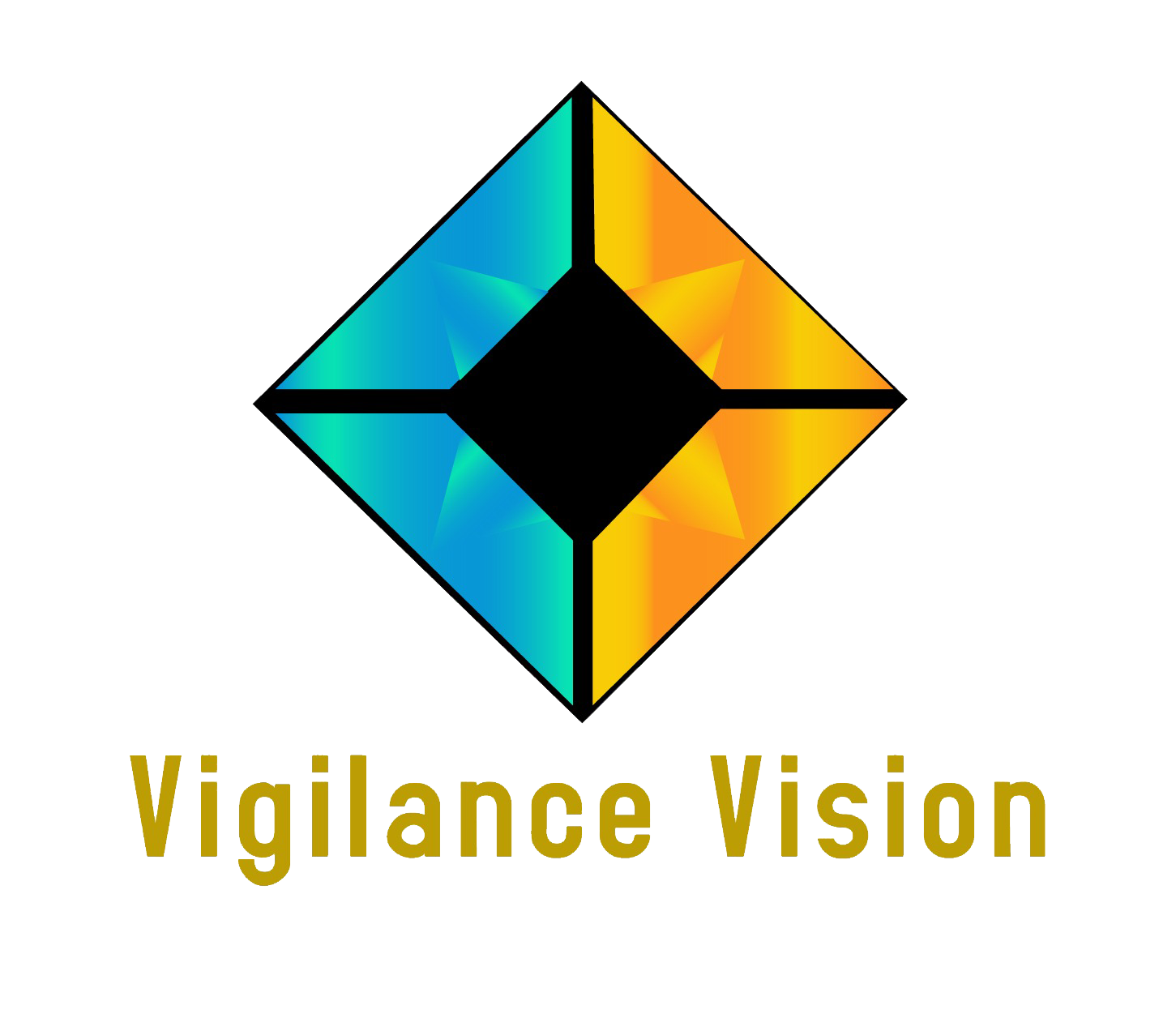 Vigilance Vision